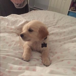 Meet your Posher, Kaydence